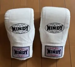 WINDY パンチンググローブ (ホワイト)