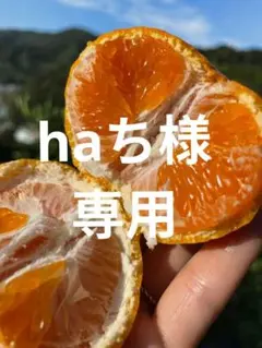 ※haち様専用　和歌山県由良町産　ゆら早生　秀品２kg＋すだち1kg