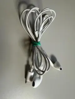Apple EarPods with Lightning Connector
