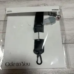 seventeen セブチ ode to you ホシ レンヤード セット