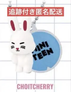 SEVENTEEN セブチ ミニティーン ポップアップ カプセルトイ エスクプス