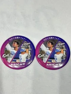 Item thumbnail for item 1e2e4bab-a56d-4ea8-9419-973c09a6a1be