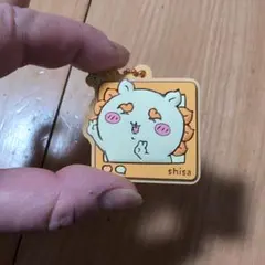 ぷっくりラバマスグミ4 　シーサー