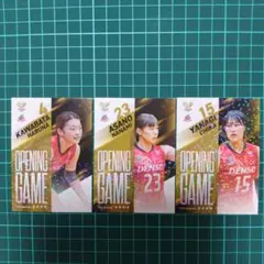 Vコレカード　デンソーエアリービーズ