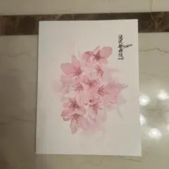 滝沢歌舞伎 ZERO FINAL パンフレット