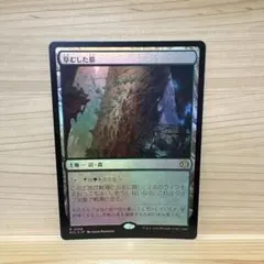 サト815様 リクエスト 2点 まとめ商品