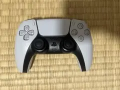 Void Gaming INTUITION PS5 コントローラ ※ジャンク品