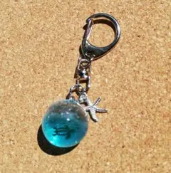 Item thumbnail for item 875a625f-0a63-4b2b-9ab8-6083df1faa8c