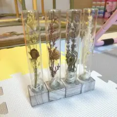 ドライフラワー 置物、小物 ディスプレイ用