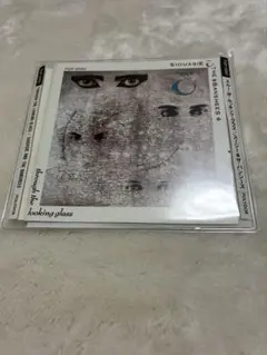 Siouxsie&The Banshees／Through The Looki