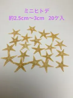 kz様 リクエスト 2点 まとめ商品