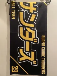 群馬クレインサンダーズ スポーツタオル