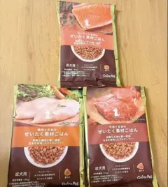 Item thumbnail for item 302286a3-a868-44d6-b522-220797051a70