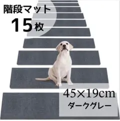 Item thumbnail for item 054161e9-1dd3-4b25-b578-c0dabe6e9894