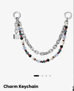 ケースティファイ ストラップ