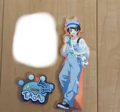 Tiroru アクリルスタンド ちろぴの ちろるのサムネイル