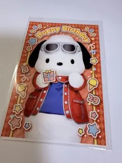 ポチャッコ　ポストカード バースデーライブ ピューロ