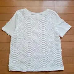 Item thumbnail for item 4429bf2a-6e8a-4cab-a719-3f6748429b17