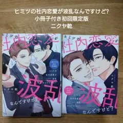 【BL】ヒミツの社内恋愛が波乱なんですけど?小冊子付き初回限定版