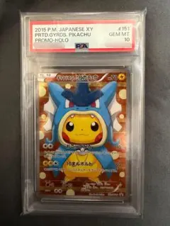 ギャラドスごっこピカチュウ：スペシャルBOX コイキングごっこ