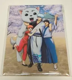 銀魂 神威 クリアファイル 限定特典 夜兎家族 後祭り2023 両国国技館