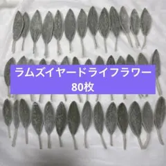 ラムズイヤー　ドライフラワー　花材　素材　リーフ　葉っぱ　80枚　20番