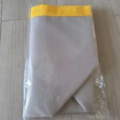 Item thumbnail for item f3864cb6-9e55-45c2-bc38-fcd9103c2e37