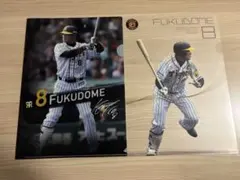 阪神タイガース　福留孝介選手　クリアファイル