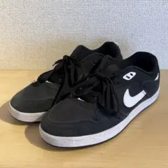 ナイキNike SB ブラック スニーカー　25cm
