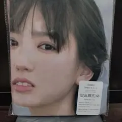 Item thumbnail for item 4019bf35-0c47-4b42-92ec-844018aa9e9e