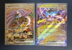 シ*シ様 タケルライコ　SAR RR