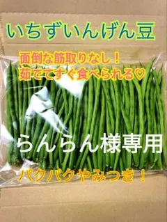 らんらん様専用