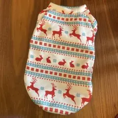 Item thumbnail for item dc8a8a31-b96a-41f5-8f9f-1ee492086ebc