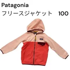 Patagonia パタゴニア　フリースジャケット パーカー　100cm 4T
