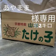 あやまま様専用　筍2キロ箱込み