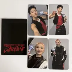 SEVENTEEN ホシウジ carat zone カラットゾーン トレカ