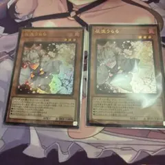 灰流うらら　ウルトラ　2枚