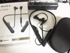 Item thumbnail for item fe46732d-98da-486b-9fe4-f59b4a99bf26