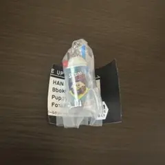 スキズ レトログラス チャーム パピーム