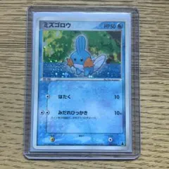 ミズゴロウ キモリ アチャモ 第1弾構築済みスターター 5枚 - メルカリ