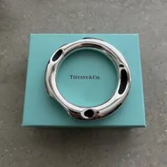 極美品レア ティファニー フランクゲーリー エクウス ブレスレット シルバー 極美品レア ティファニー フランクゲーリー エクウス