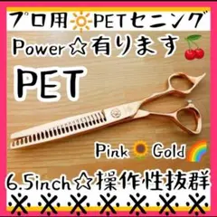 プラズマハート プラズマコントローラー 自然医学研究会 - メルカリ