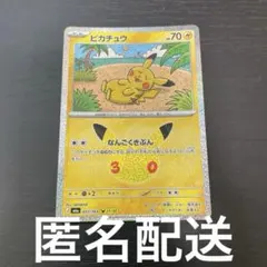 新品　ポケカ　ピカチュウ　なんごくきぶん　30th CELEBRATION