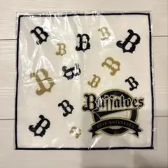 Item thumbnail for item fffae923-fbbd-40f3-90b7-739fab907dfd