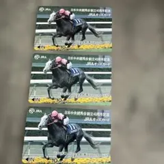 オッズカード　ビワハヤヒデ　未使用