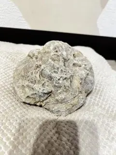 錦石 メノウ 球果流紋岩 青森産 球果流紋岩 青森県産 - メルカリ