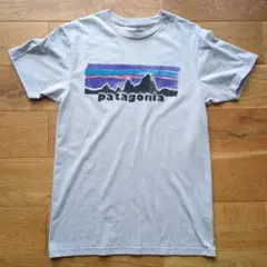 patagonia グレー Tシャツ Sサイズ