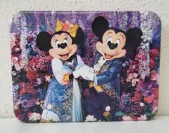 キャンディー　イマジニング ザ・マジック ミッキー　ミニー 実写　缶