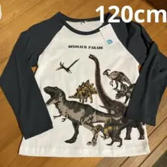 恐竜長袖tシャツ120cm①