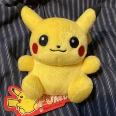 ポケモンセンター 2002年 ポケドール 缶バッジセット POKEDOLL ポケモンセンター 2002年 ポケドール 缶バッジセット POKEDOLL